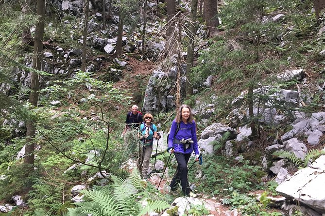 Day Hike in National Park Risnjak from Zagreb - Hike down to the entrance: finishing strong without rushing