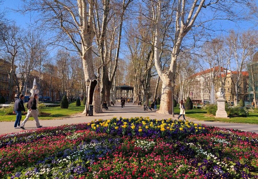 Exclusive old Zagreb walking tour - Dolac and Opatovina: market life that explains the city
