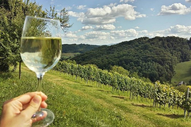 Fairytale Castle & Wine Tasting & Lunch - Vuglec Breg wine tasting and lunch: where the day really slows down