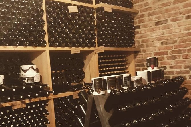 Fairytale Castle & Wine Tasting & Lunch - Timing and meeting points: how to keep the day easy