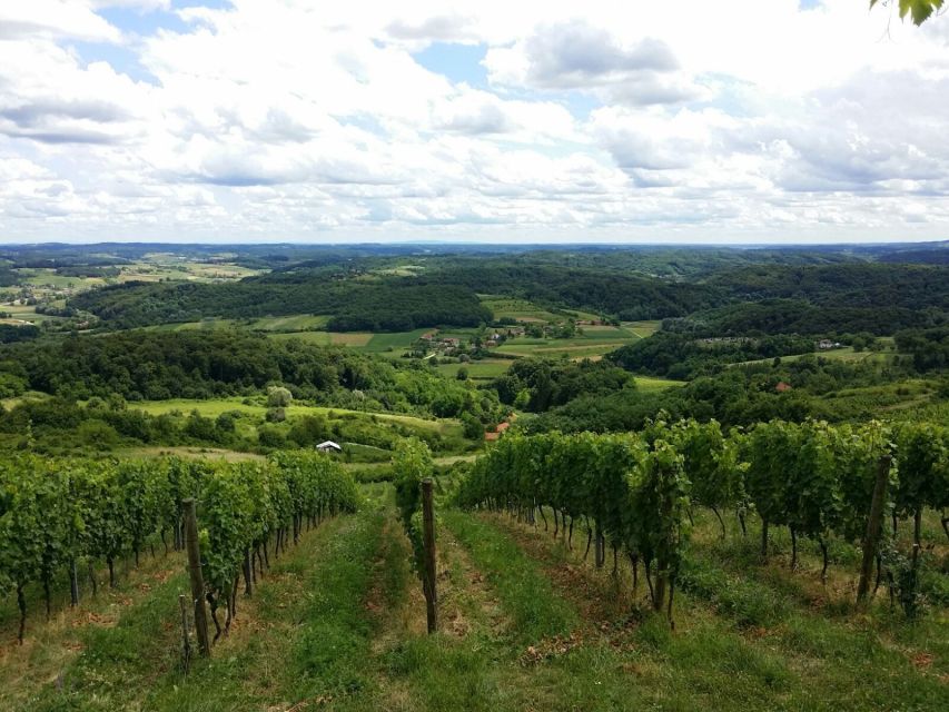 From Zagreb: Fairytale Castle & Wine Tasting & Lunch - The Big Idea: A Castle-and-Wine Day That Doesn’t Feel Rushed