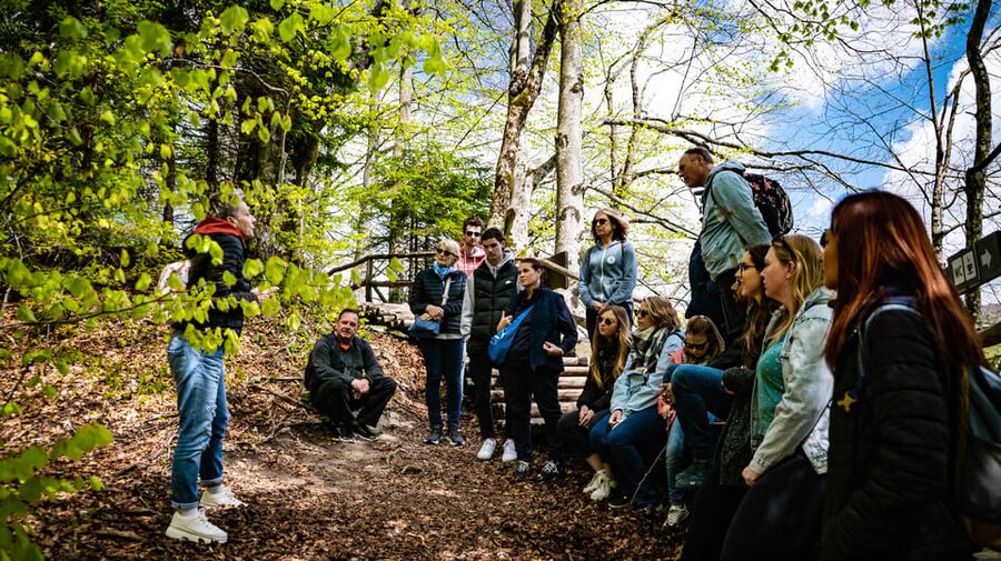From Zagreb: Plitvice Lakes National Park Full-Day Tour - The park experience: 16 lakes, waterfalls, and a guided walking route