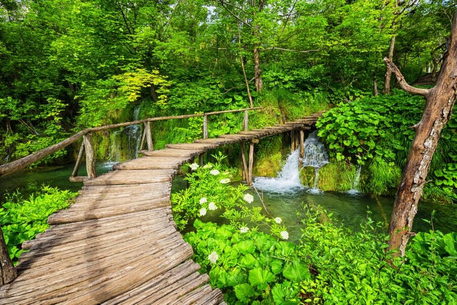 From Zagreb: Plitvice Lakes & Rastoke Private Tour - Guide quality is the real value: Ned, Anđel, and Robert