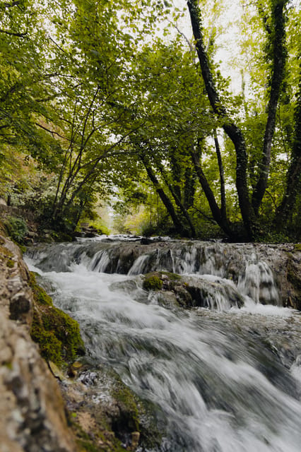 From Zagreb to Plitvice Lakes and Rastoke - Private day tour - What makes the private pacing feel different (and better)