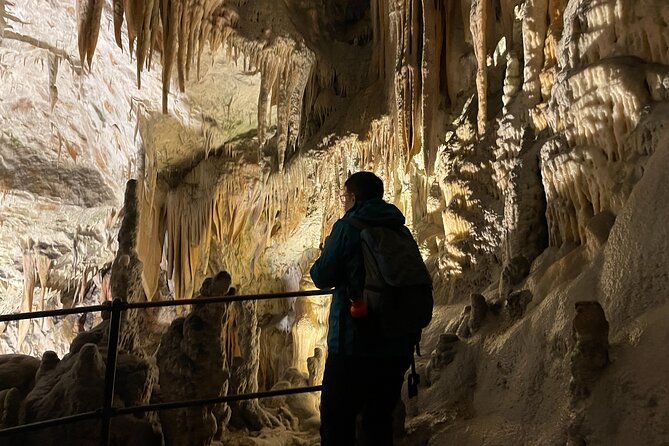 Ljubljana, Postojna Cave&Predjama Castle with Tickets from Zagreb - Stop 3: Ljubljana’s Historic Heart on Foot