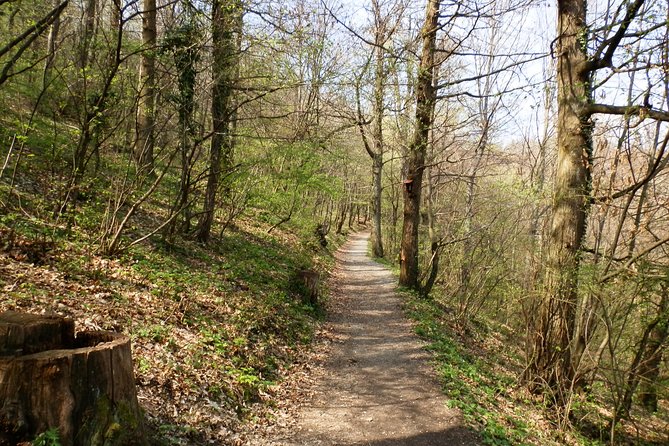 Medvednica Hiking and Chestnuts Picking Tour from Zagreb - Medvednica Hike and Chestnuts: What You’re Really Paying For