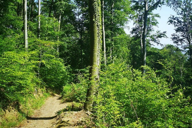 Medvednica Hiking and Chestnuts Picking Tour from Zagreb - Duration Reality Check: Plan for 4–5 Hours, Stay Flexible
