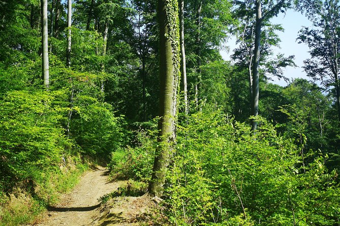 Perceive Zagreb Like a Local - Medvednica Nature Park Hiking - Key Highlights You’ll Feel on the Trail