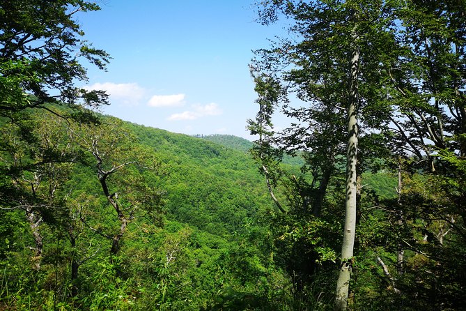 Perceive Zagreb Like a Local - Medvednica Nature Park Hiking - Medvednica: The Zagreb Mountain Most People Skip