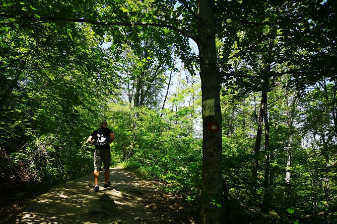 Perceive Zagreb Like a Local - Medvednica Nature Park Hiking - Private Guide Value: Pickup, First Aid, and the Human Touch
