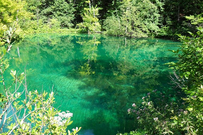 Plitvice Lakes and Rastoke Private Day Tour from Zagreb - What This Tour Costs, and Where the Value Really Comes In
