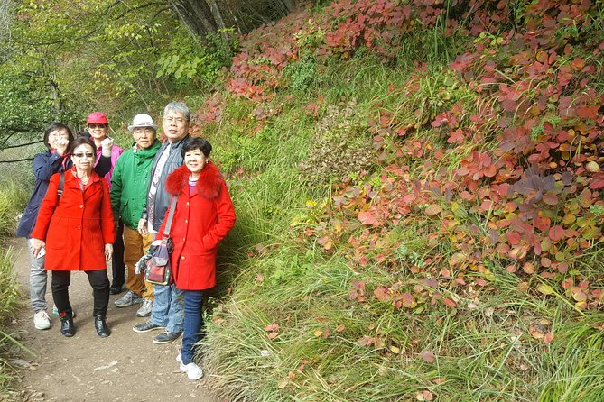 Plitvice Lakes Private Tour from Zagreb - Flexible Schedule - Comfort, Timing, and Avoiding the Stress Spiral