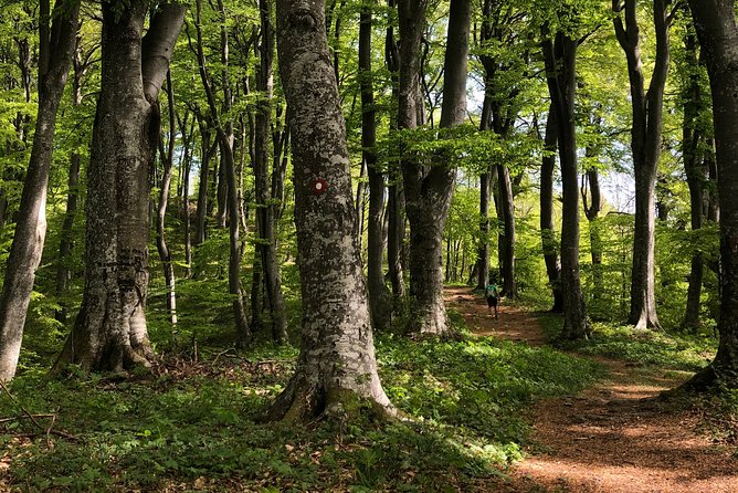 Private eclectic hiking experience of Samobor Hills - Samobor Old Town and Castle ruins: a short climb with a satisfying payoff