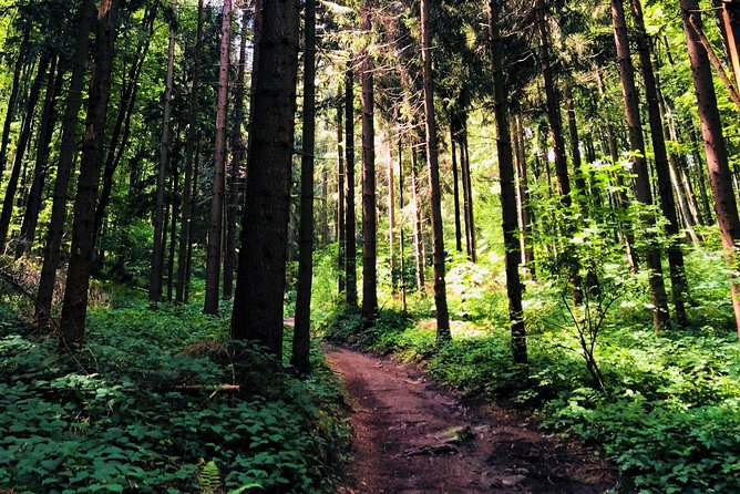 Private eclectic hiking experience of Samobor Hills - Getting to the trailhead: 8:00 am pickup that keeps the day moving