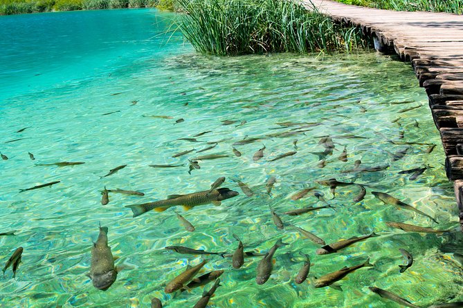 Private experience of Rastoke and Plitvice Lakes from Zagreb - Price and value: what you’re paying for (and what you’re not)