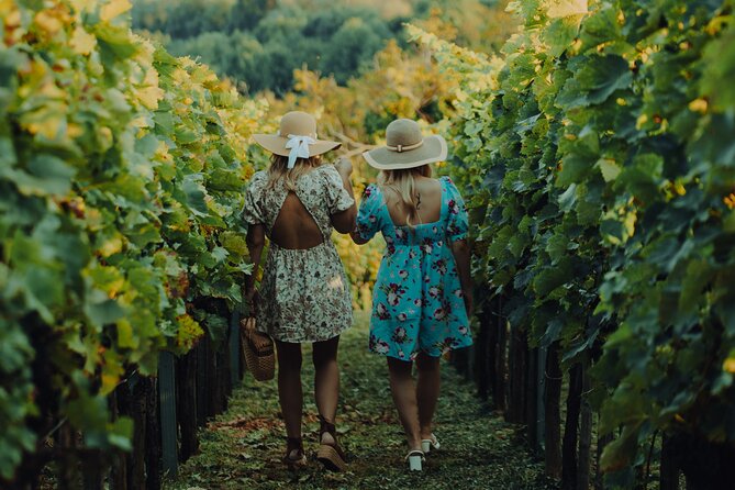 Private hedonistic food and wine experience from Zagreb - Key things you’ll notice on this tour
