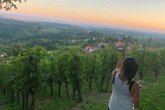 Private hedonistic food and wine experience from Zagreb - The winery experience: 9 wines plus charcuterie