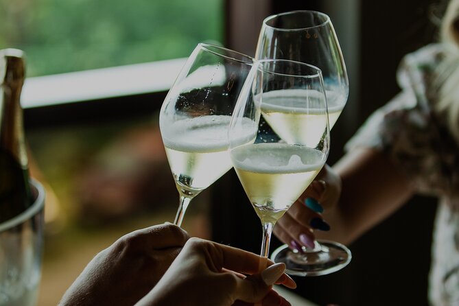 Private hedonistic food and wine experience from Zagreb - Private transportation and small extras that matter