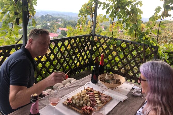 Private hedonistic food and wine experience from Zagreb - Who this tour is best for (and who may want something else)