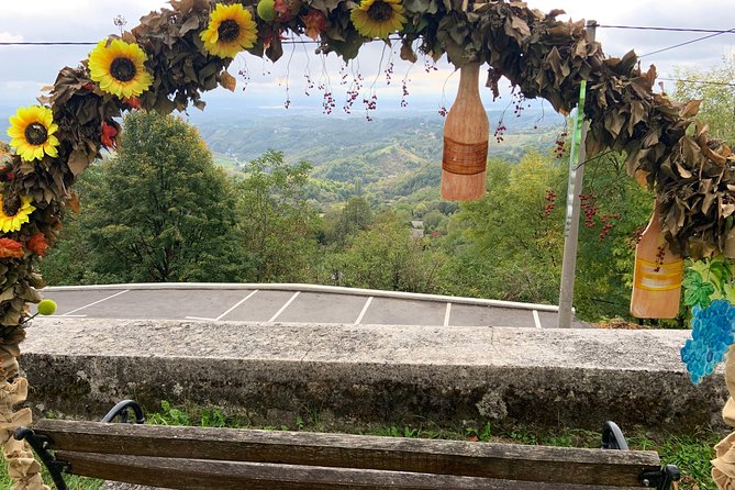 Private Wine Road Day Tour from Zagreb - Samobor medieval time: Cremeschnitte, Bermet, and a real town feel