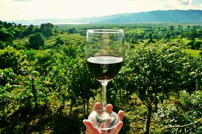 Private Wine Tour from Zagreb: Two Local Wineries & Samobor - Key things that make this tour worth your time