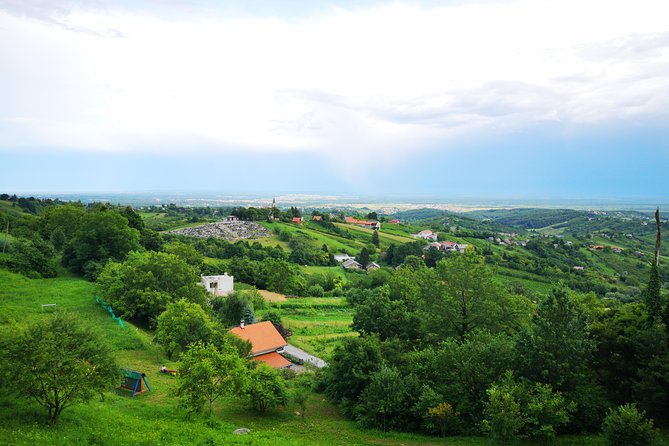Private Wine Tour from Zagreb: Two Local Wineries & Samobor - Food pairings in Samobor and at the wineries: cheese, ham, and homemade comfort