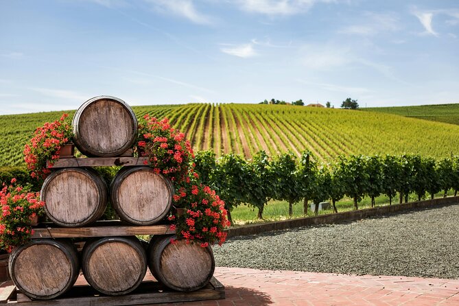 Private Wine Tour from Zagreb: Two Local Wineries & Samobor - Samobor’s town square, St. Anastasia, and a castle-view option