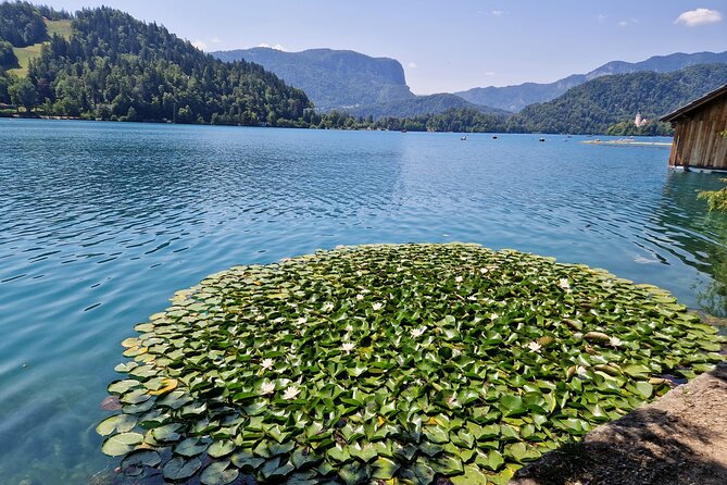 Slovenia's highlights: Bled lake and Ljubljana Full-Day Private Tour from Zagreb - Lake Bled: island views, the castle hill, and how to plan your boat/clock