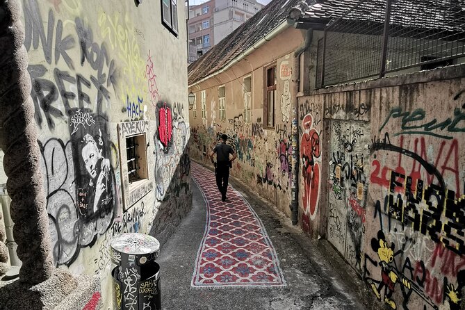 Zagreb Street Art Private Walking Tour with a Local Artist - How the guide connects graffiti history to what you see today